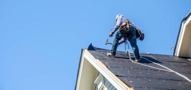 Best Roof Gutter Cleaning  in Lake City, SC